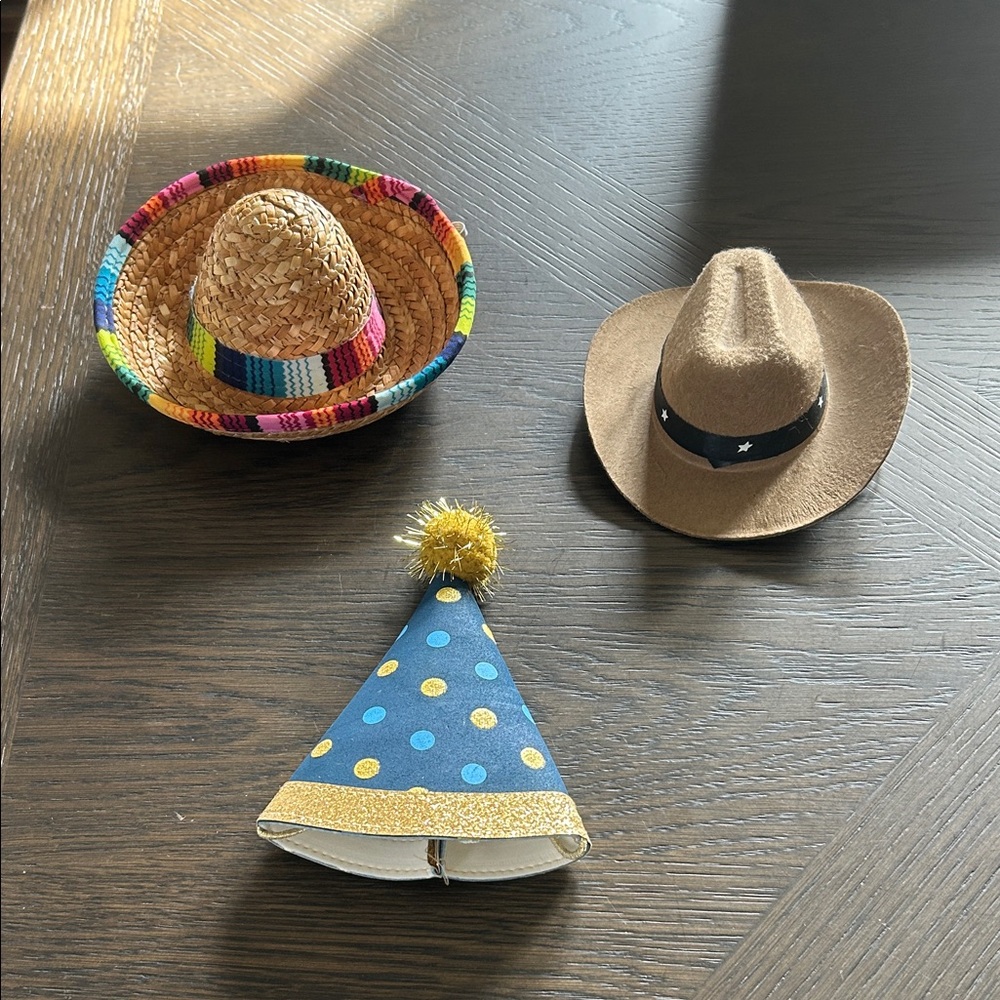 Small Dog Hat Set